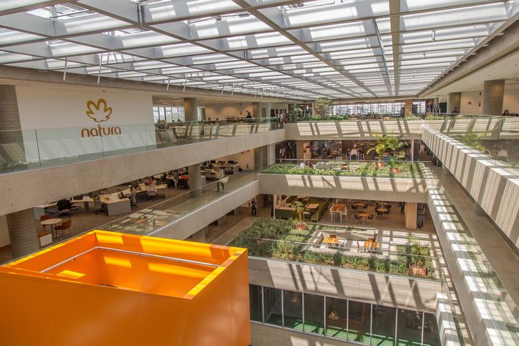 Natura Ventures amplia portfólio com integração de startup de biomateriais renováveis