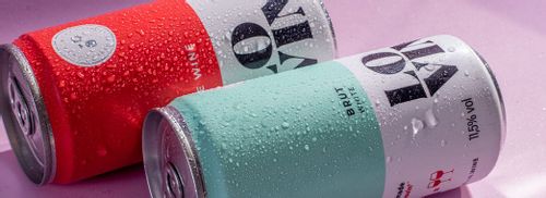 Lovin' Wine – a DNVB que cresceu 149% em um ano