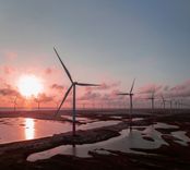Energy Revolution será carbono neutro em parceria com a Serena